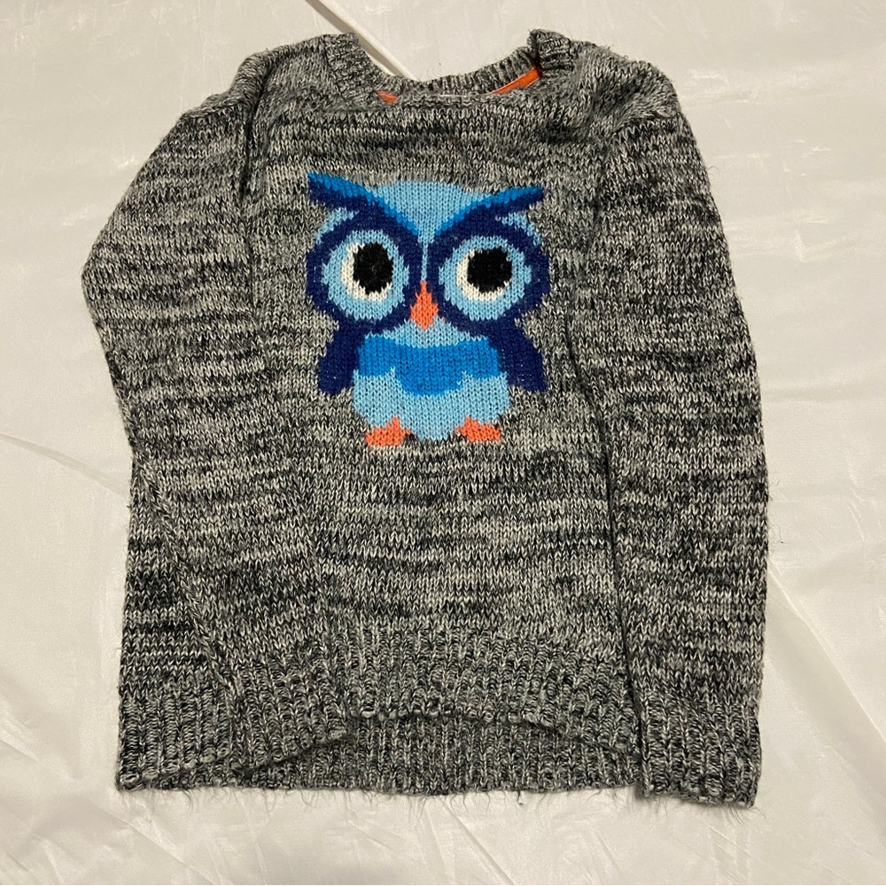 Gray Sweater with Blue Owl